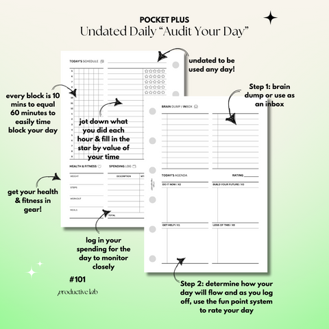 #101 Daily Undated "Audit Your Day"